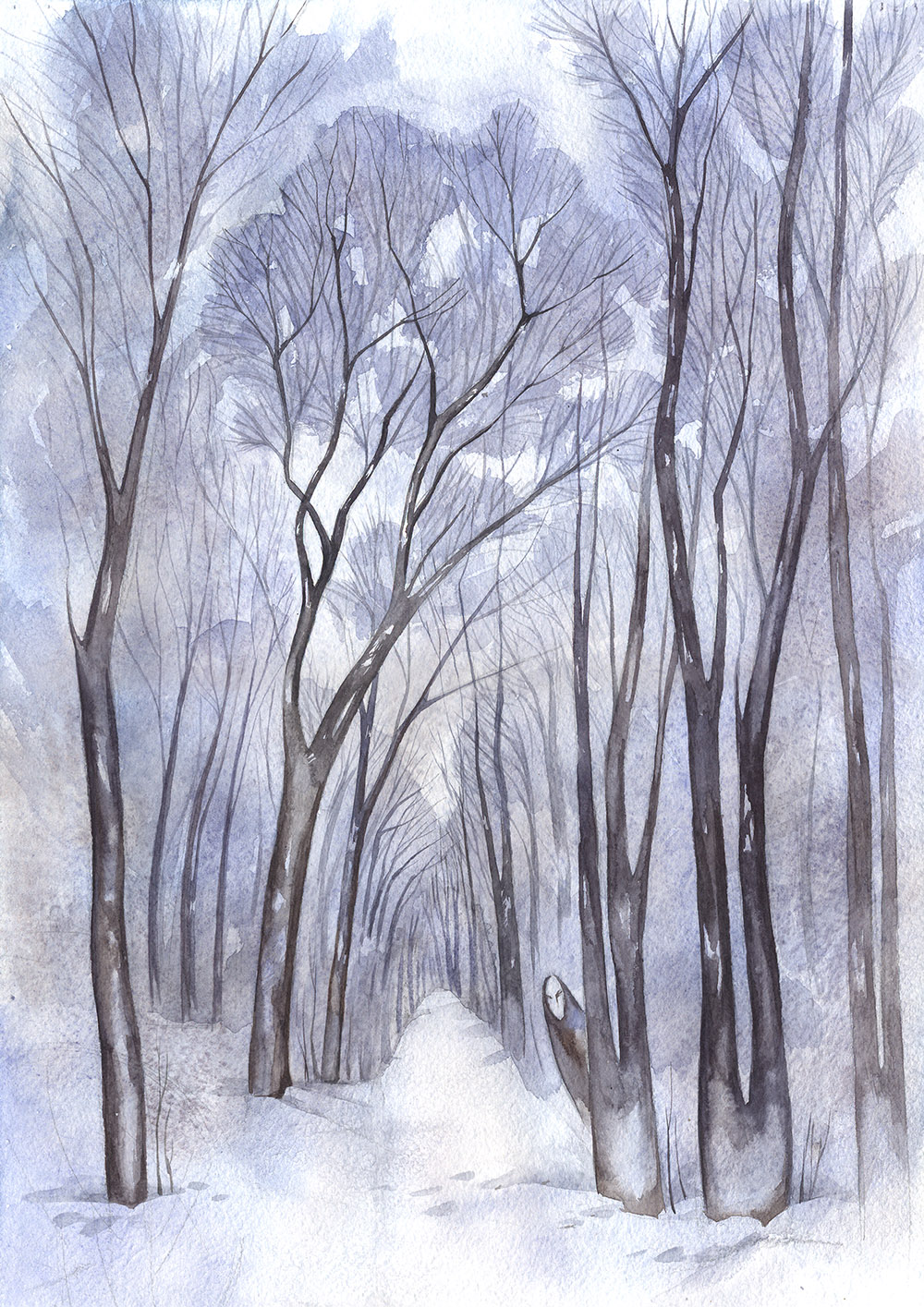 Зимний лес карандашом