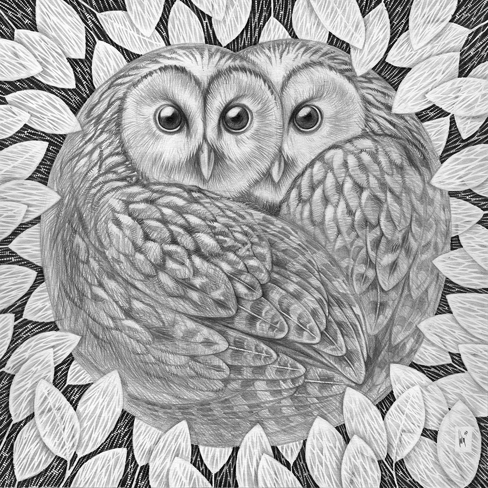 Two owls sitting hugging in the leaves